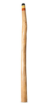 Earl Clements Didgeridoo (EC458)